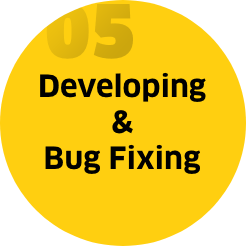 Step 5: Developing & Bug fixing