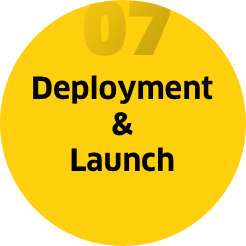Step 7: Deployment & launch